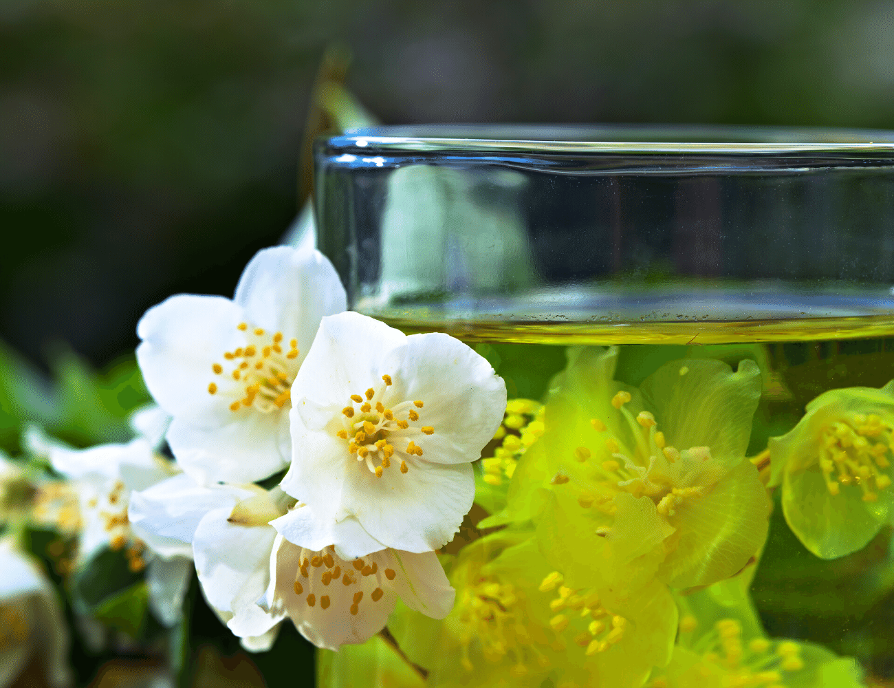 What Does Jasmine Tea Taste Like? Well, That Depends...