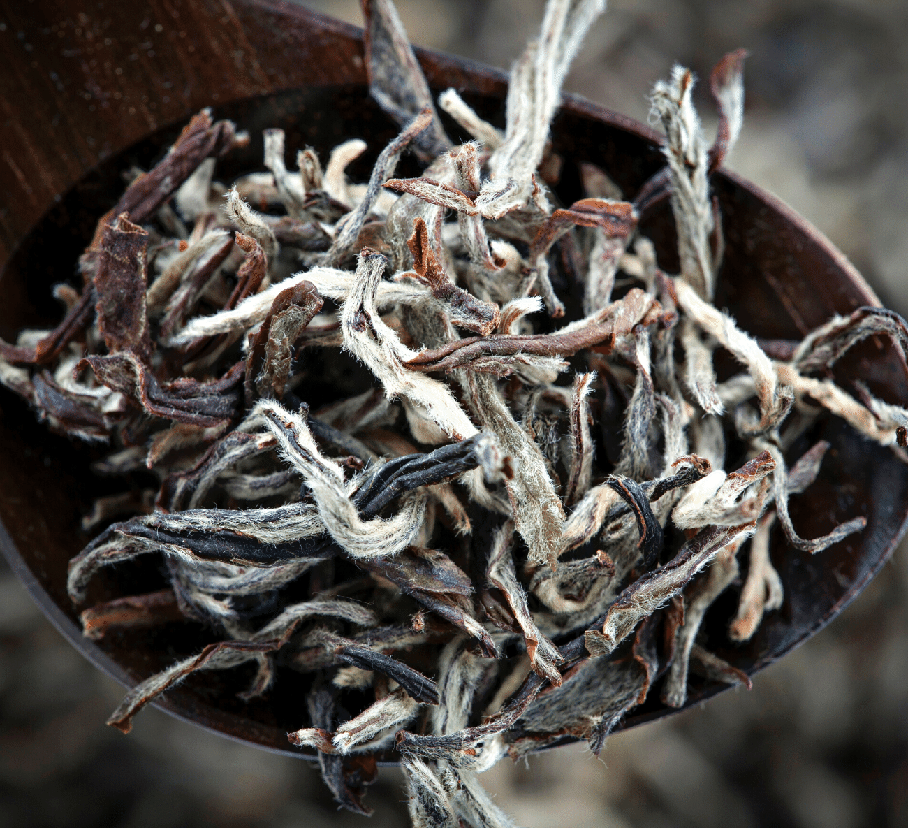 7 Best White Teas A Delicate Tea Packing Quite The Punch!
