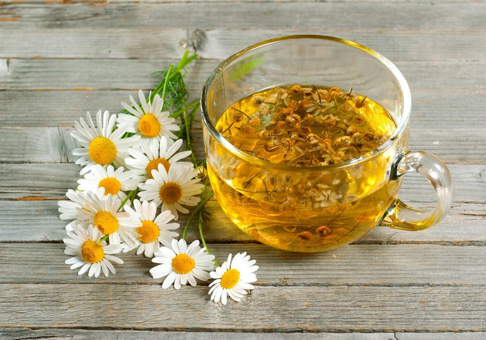 Steep Your Way to Relaxation W/ These 5 Best Chamomile Teas