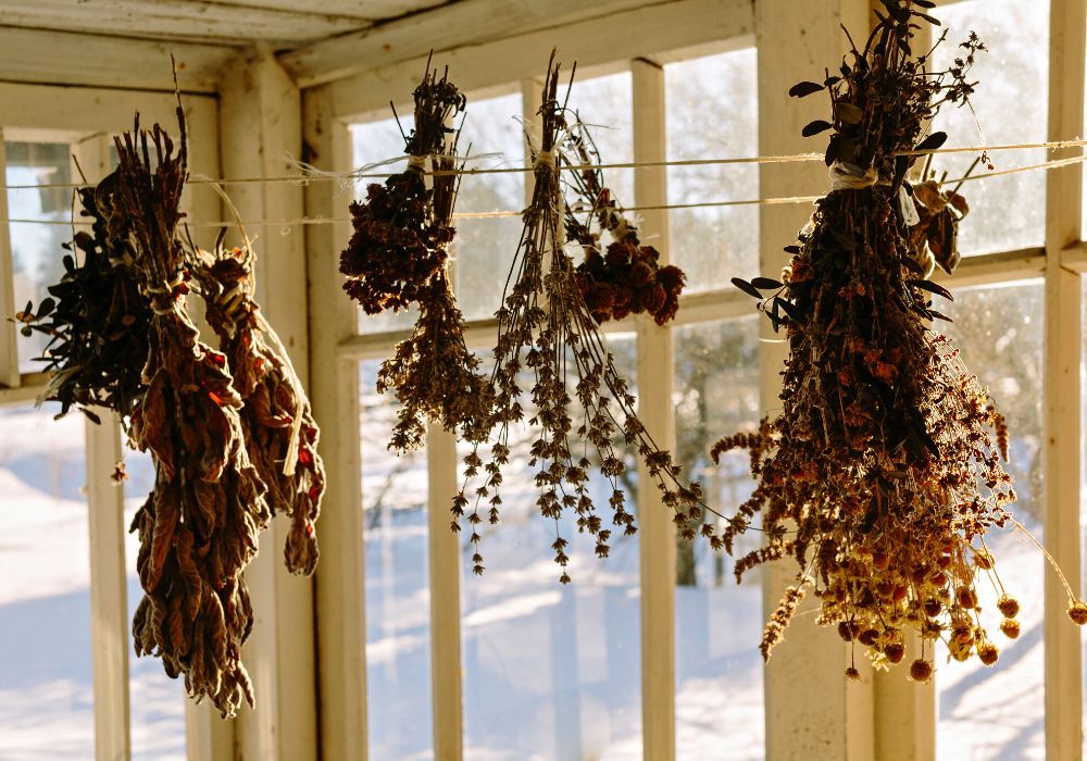 How To Dry Herbs For Tea 3 Methods To Choose From!